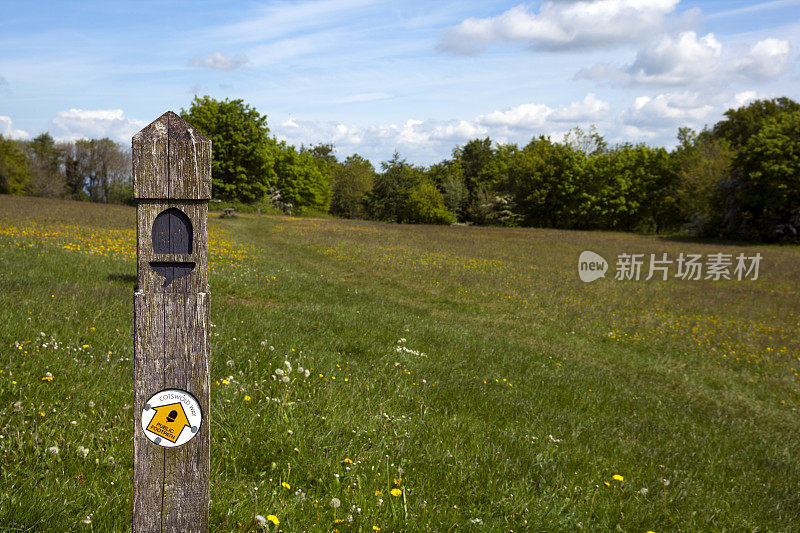 Coaley Peak观点，格洛斯特郡，英国